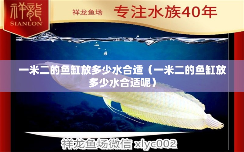 一米二的魚缸放多少水合適（一米二的魚缸放多少水合適呢） 其他品牌魚缸