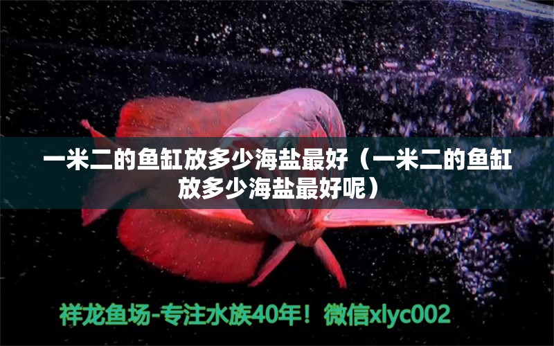 一米二的魚缸放多少海鹽最好（一米二的魚缸放多少海鹽最好呢）