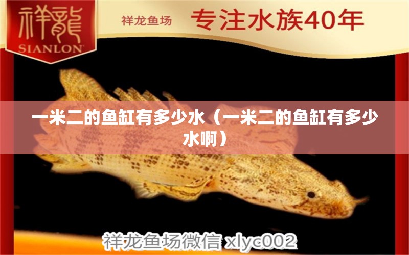 一米二的魚(yú)缸有多少水（一米二的魚(yú)缸有多少水?。? title=