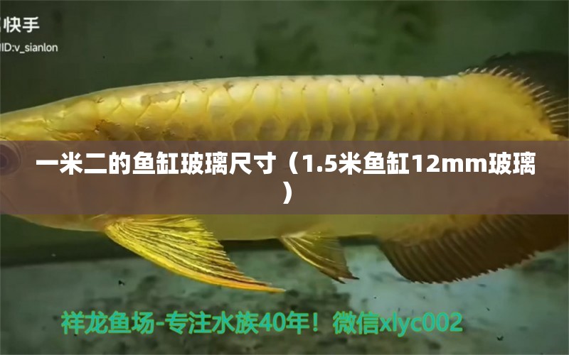 一米二的魚缸玻璃尺寸（1.5米魚缸12mm玻璃）