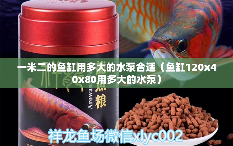 一米二的魚缸用多大的水泵合適（魚缸120x40x80用多大的水泵）