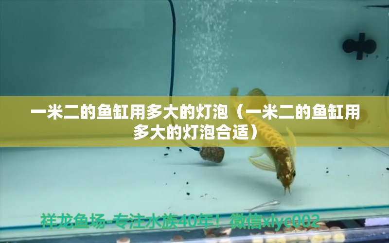 一米二的魚缸用多大的燈泡（一米二的魚缸用多大的燈泡合適） 其他品牌魚缸