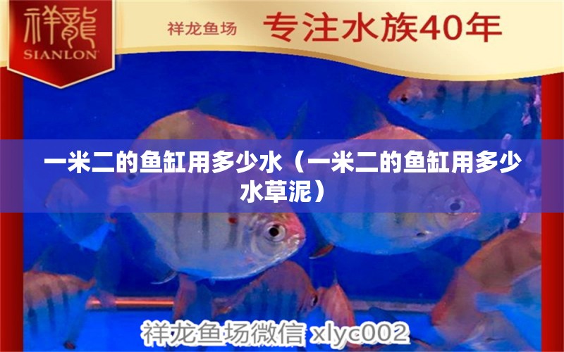 一米二的魚(yú)缸用多少水（一米二的魚(yú)缸用多少水草泥）