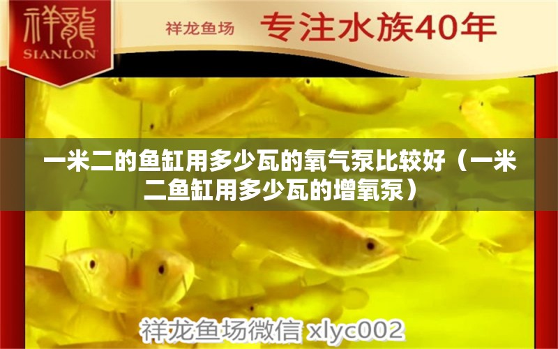 一米二的魚缸用多少瓦的氧氣泵比較好（一米二魚缸用多少瓦的增氧泵）