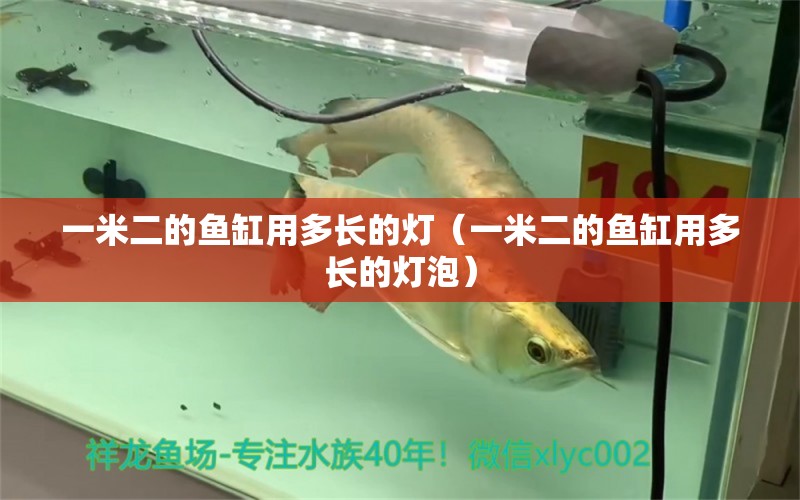 一米二的魚缸用多長(zhǎng)的燈（一米二的魚缸用多長(zhǎng)的燈泡） 其他品牌魚缸