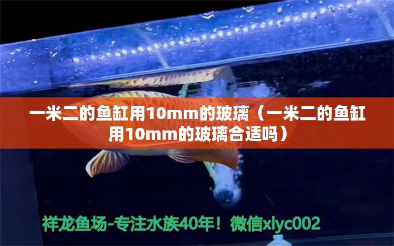 一米二的魚缸用10mm的玻璃（一米二的魚缸用10mm的玻璃合適嗎）