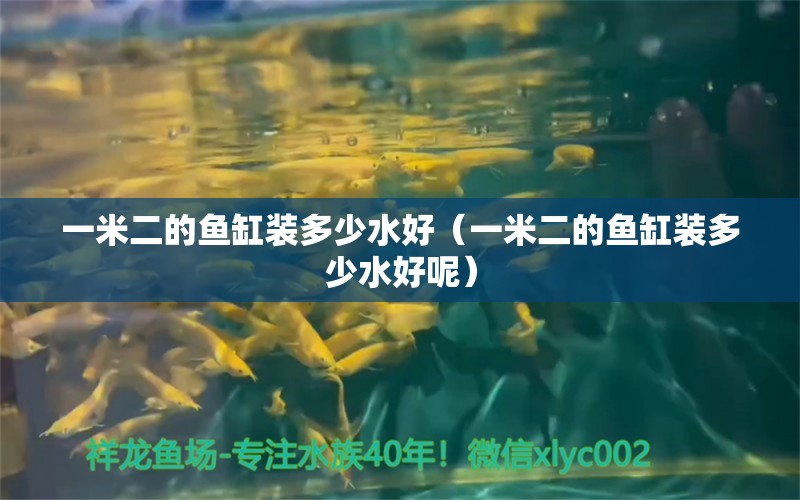 一米二的魚缸裝多少水好（一米二的魚缸裝多少水好呢） 其他品牌魚缸