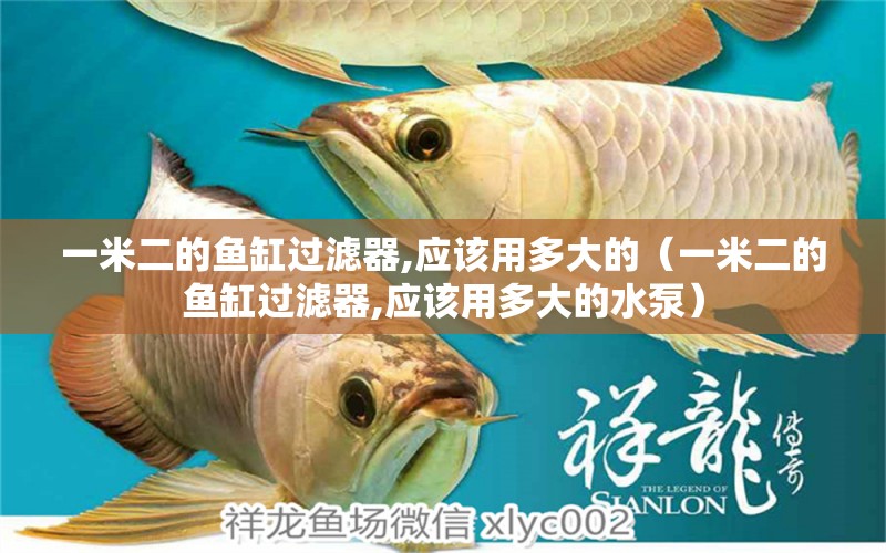 一米二的魚缸過濾器,應(yīng)該用多大的（一米二的魚缸過濾器,應(yīng)該用多大的水泵）