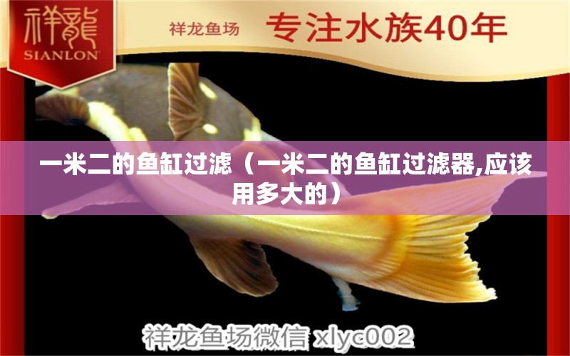 一米二的魚缸過濾（一米二的魚缸過濾器,應(yīng)該用多大的） 魚缸百科