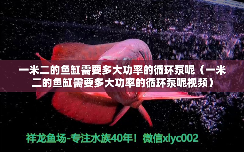 一米二的魚缸需要多大功率的循環(huán)泵呢（一米二的魚缸需要多大功率的循環(huán)泵呢視頻） 其他品牌魚缸