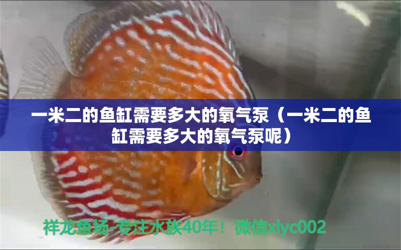 一米二的魚缸需要多大的氧氣泵（一米二的魚缸需要多大的氧氣泵呢）