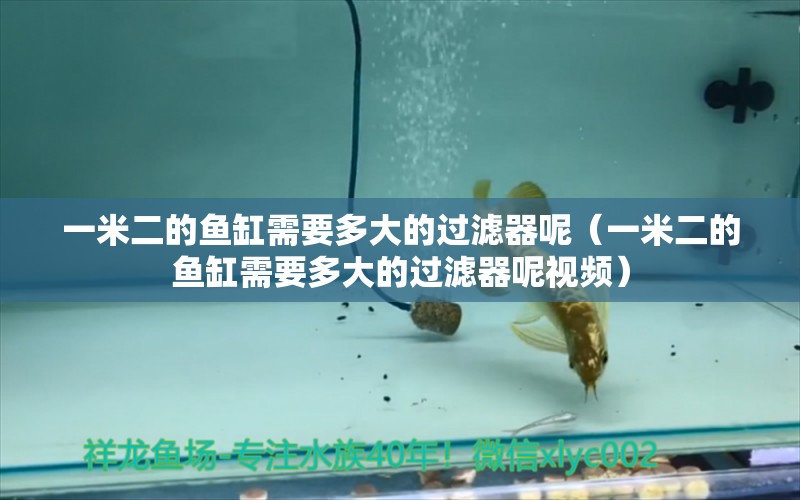 一米二的魚缸需要多大的過濾器呢（一米二的魚缸需要多大的過濾器呢視頻）