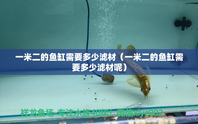 一米二的魚缸需要多少濾材（一米二的魚缸需要多少濾材呢）