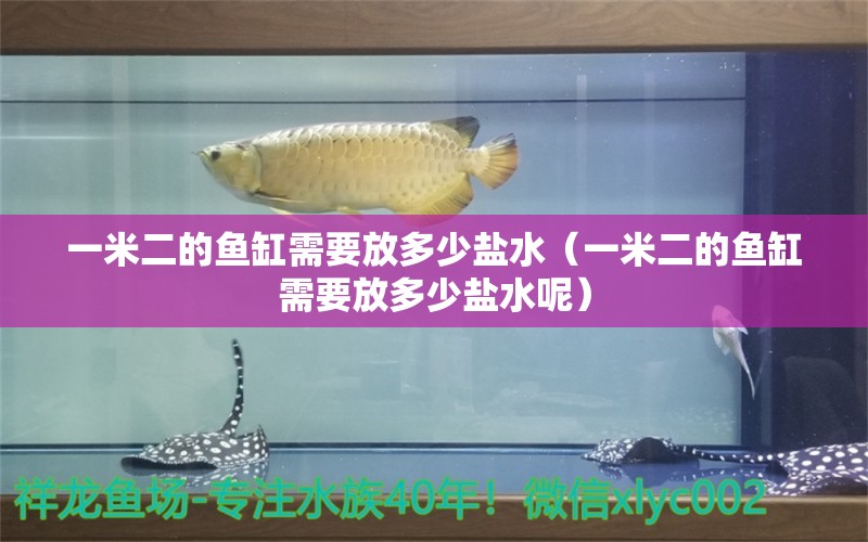 一米二的魚缸需要放多少鹽水（一米二的魚缸需要放多少鹽水呢）