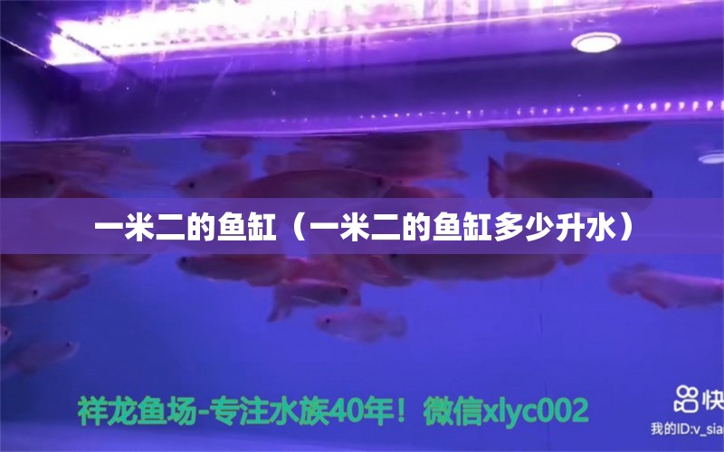 一米二的魚缸（一米二的魚缸多少升水）