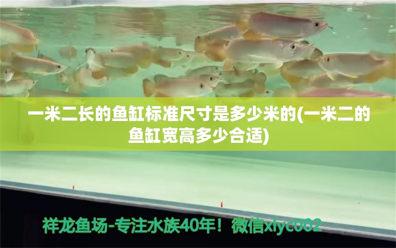 一米二長的魚缸標(biāo)準(zhǔn)尺寸是多少米的(一米二的魚缸寬高多少合適) 廣州龍魚批發(fā)市場 第1張