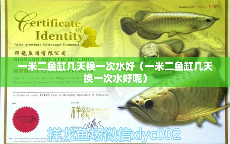 一米二魚缸幾天換一次水好（一米二魚缸幾天換一次水好呢） 魚缸百科