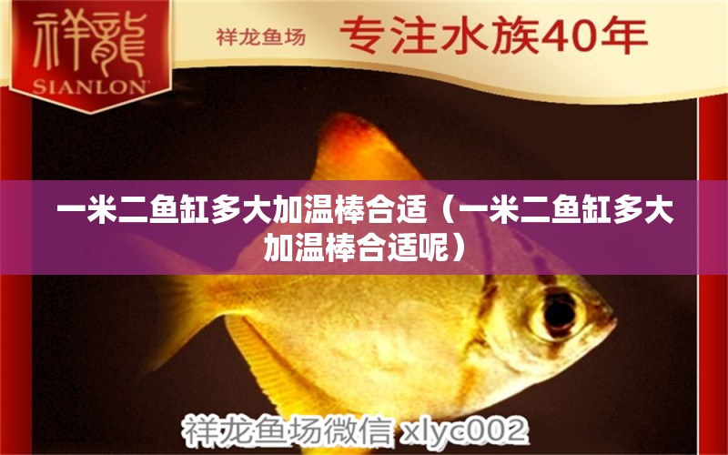 一米二魚(yú)缸多大加溫棒合適（一米二魚(yú)缸多大加溫棒合適呢） 其他品牌魚(yú)缸