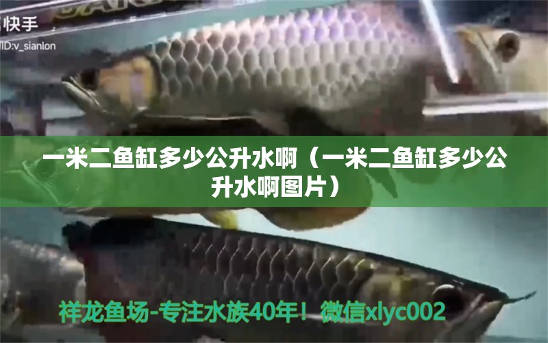 一米二魚缸多少公升水啊（一米二魚缸多少公升水啊圖片）