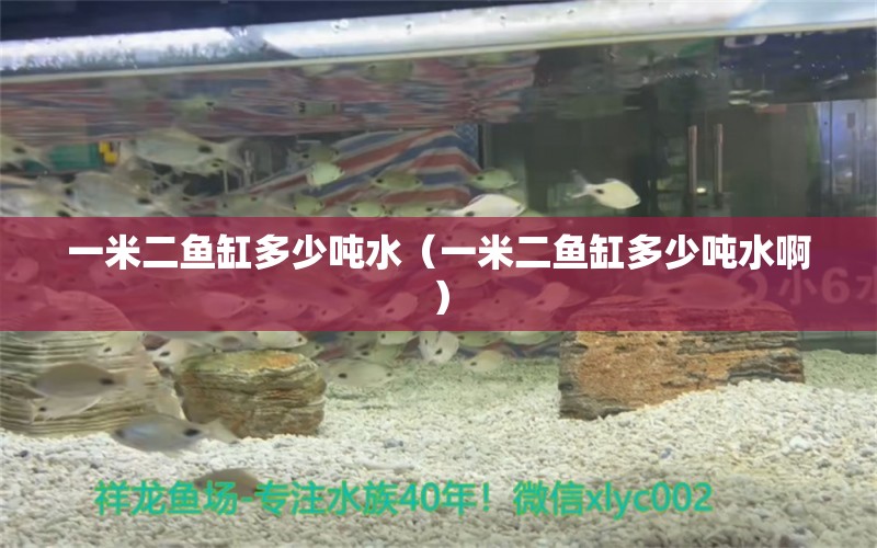 一米二魚缸多少噸水（一米二魚缸多少噸水?。? title=