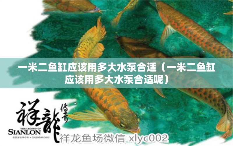 一米二魚(yú)缸應(yīng)該用多大水泵合適（一米二魚(yú)缸應(yīng)該用多大水泵合適呢） 其他品牌魚(yú)缸