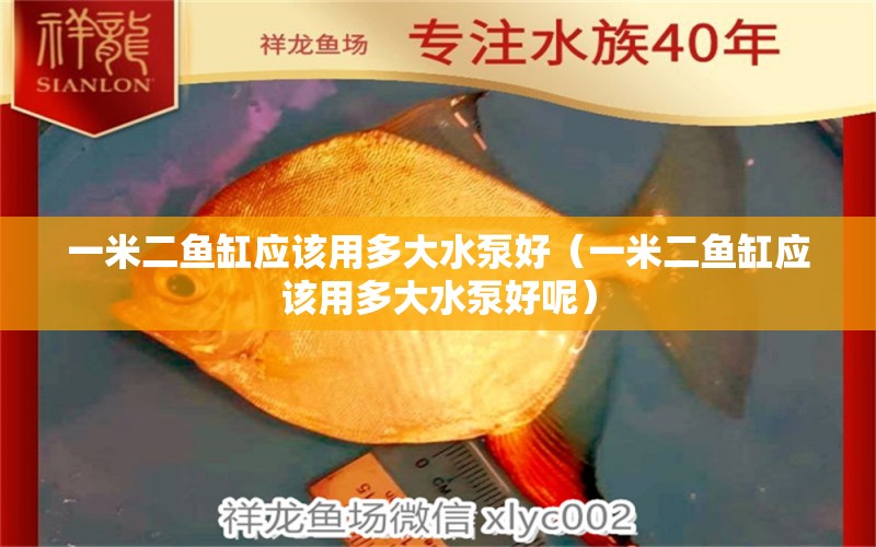 一米二魚(yú)缸應(yīng)該用多大水泵好（一米二魚(yú)缸應(yīng)該用多大水泵好呢）