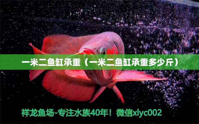 一米二魚缸承重（一米二魚缸承重多少斤）