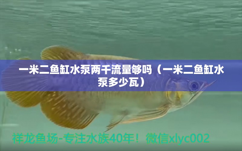 一米二魚缸水泵兩千流量夠嗎（一米二魚缸水泵多少瓦）