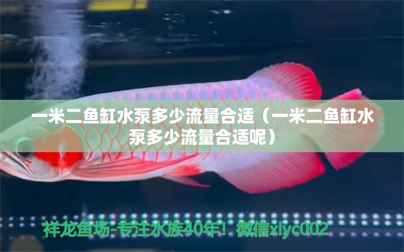 一米二魚(yú)缸水泵多少流量合適（一米二魚(yú)缸水泵多少流量合適呢）