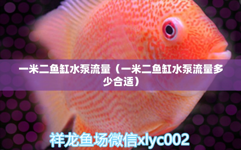 一米二魚(yú)缸水泵流量（一米二魚(yú)缸水泵流量多少合適）