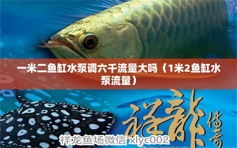 一米二魚缸水泵調六千流量大嗎（1米2魚缸水泵流量） 魚缸水泵