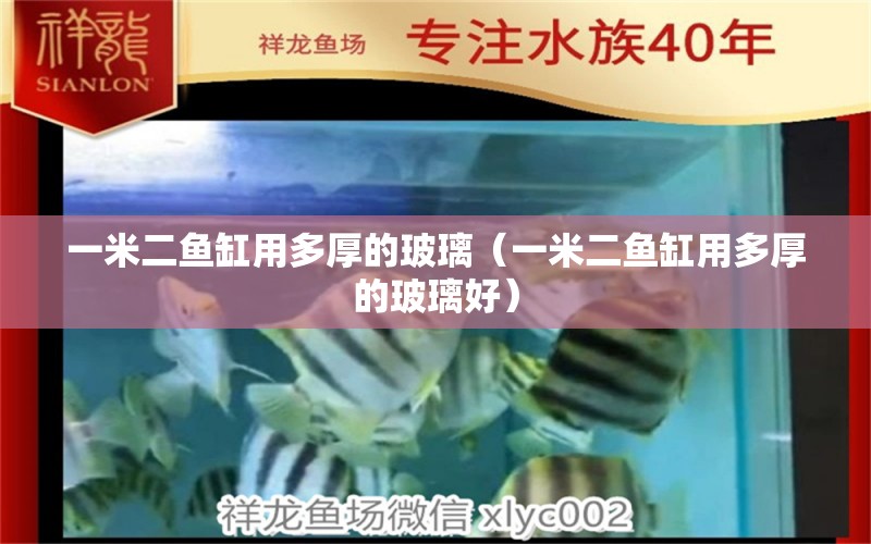 一米二魚缸用多厚的玻璃（一米二魚缸用多厚的玻璃好） 其他品牌魚缸