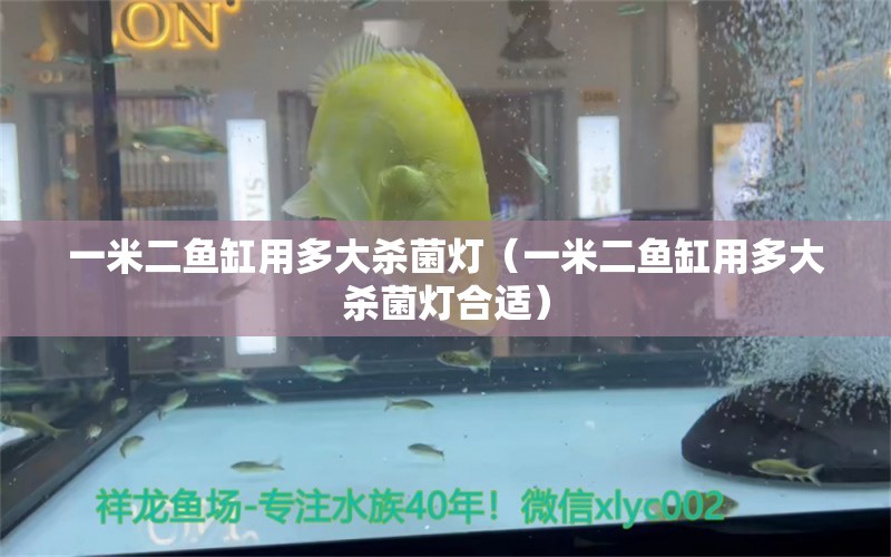 一米二魚缸用多大殺菌燈（一米二魚缸用多大殺菌燈合適）