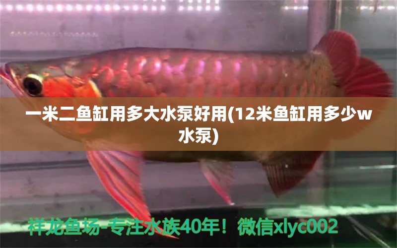 一米二魚缸用多大水泵好用(12米魚缸用多少w水泵)