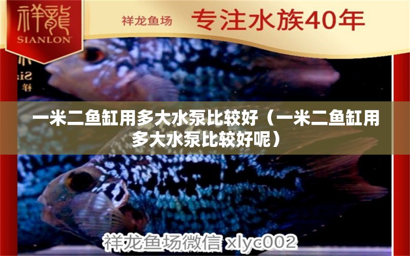 一米二魚缸用多大水泵比較好（一米二魚缸用多大水泵比較好呢）