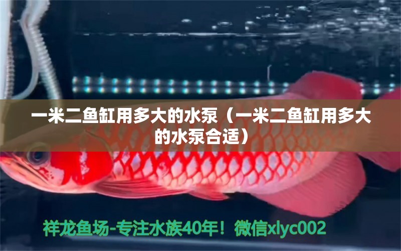 一米二魚缸用多大的水泵（一米二魚缸用多大的水泵合適） 其他品牌魚缸