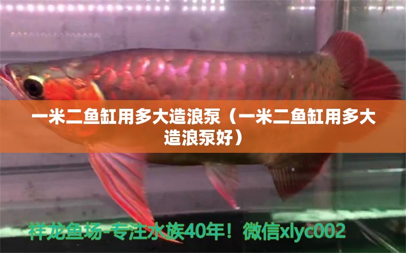 一米二魚缸用多大造浪泵（一米二魚缸用多大造浪泵好） 魚缸百科