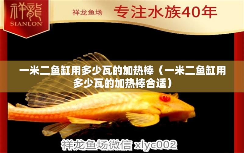 一米二魚缸用多少瓦的加熱棒（一米二魚缸用多少瓦的加熱棒合適） 魚缸百科