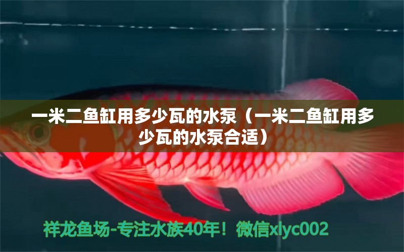 一米二魚(yú)缸用多少瓦的水泵（一米二魚(yú)缸用多少瓦的水泵合適）