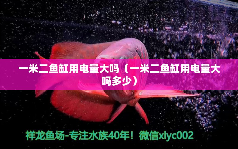 一米二魚(yú)缸用電量大嗎（一米二魚(yú)缸用電量大嗎多少）