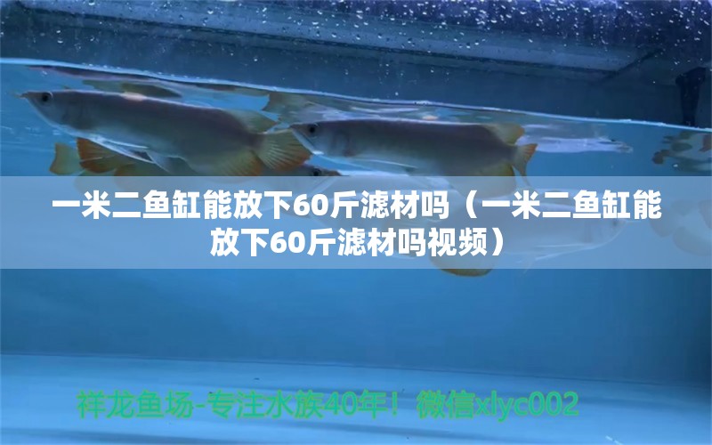 一米二魚(yú)缸能放下60斤濾材嗎（一米二魚(yú)缸能放下60斤濾材嗎視頻）