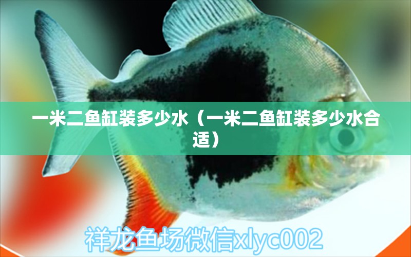 一米二魚缸裝多少水（一米二魚缸裝多少水合適）