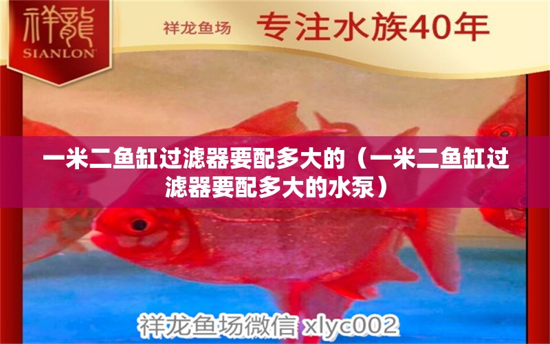 一米二魚缸過濾器要配多大的（一米二魚缸過濾器要配多大的水泵）