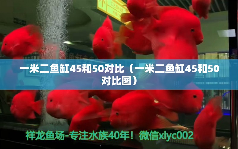 一米二魚缸45和50對(duì)比（一米二魚缸45和50對(duì)比圖） 其他品牌魚缸