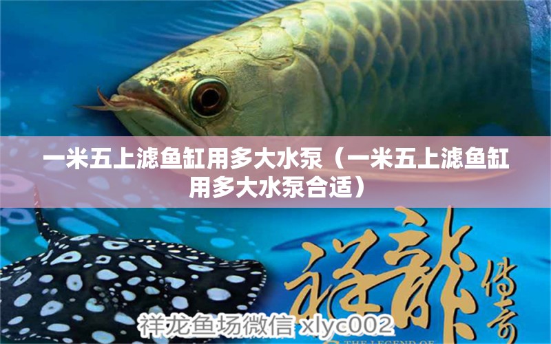 一米五上濾魚缸用多大水泵（一米五上濾魚缸用多大水泵合適）