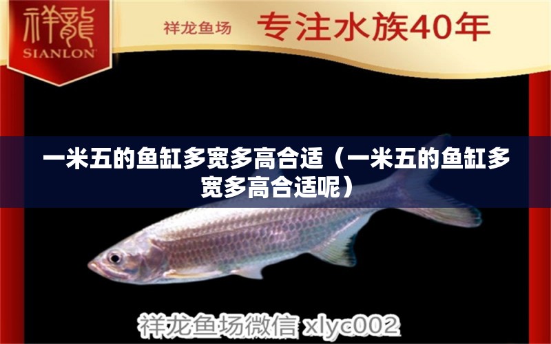 一米五的魚缸多寬多高合適（一米五的魚缸多寬多高合適呢） 魚缸百科