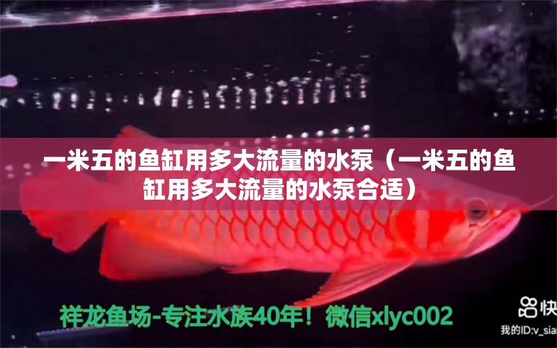 一米五的魚缸用多大流量的水泵（一米五的魚缸用多大流量的水泵合適）