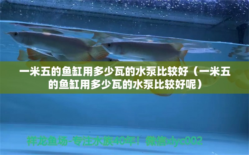 一米五的魚(yú)缸用多少瓦的水泵比較好（一米五的魚(yú)缸用多少瓦的水泵比較好呢）