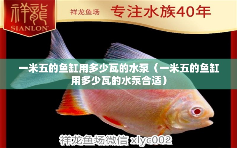 一米五的魚缸用多少瓦的水泵（一米五的魚缸用多少瓦的水泵合適）