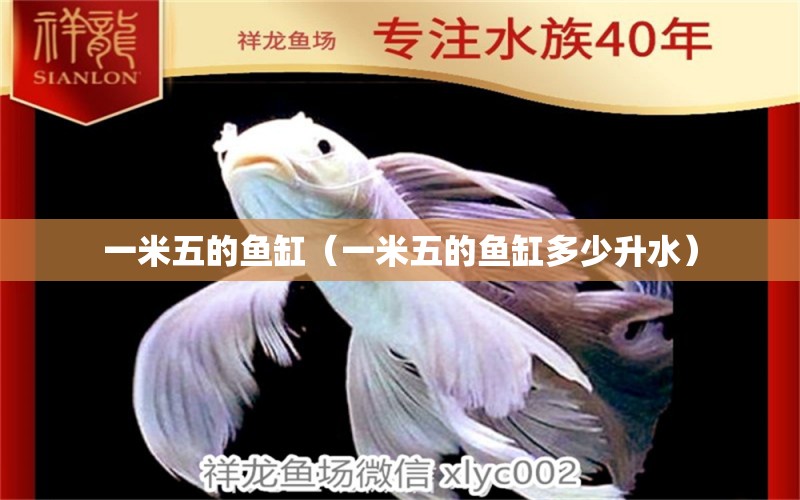 一米五的魚(yú)缸（一米五的魚(yú)缸多少升水）